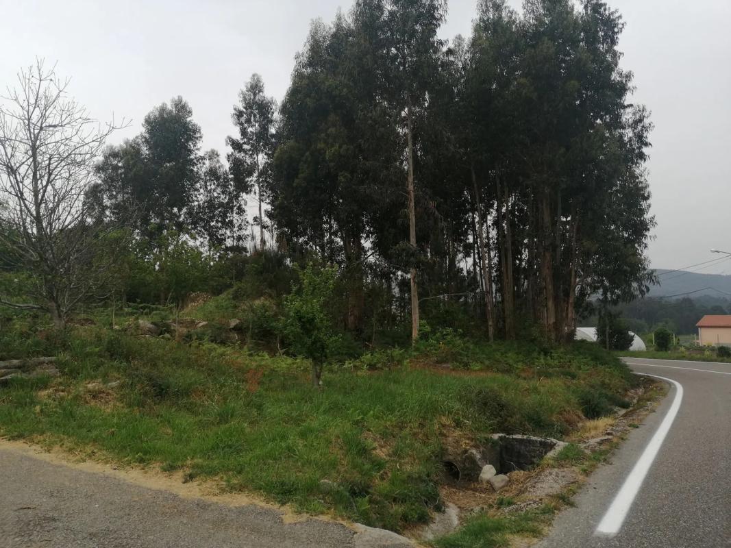 Terreno en venta en O Rosal, Pontevedra photo 3