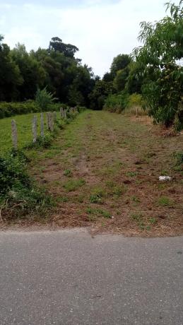 Terreno en carretera paramos s/n photo 3
