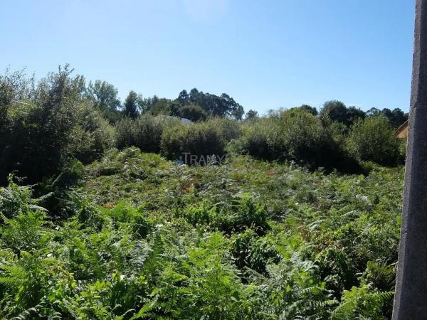 Terreno en Tomiño photo 3