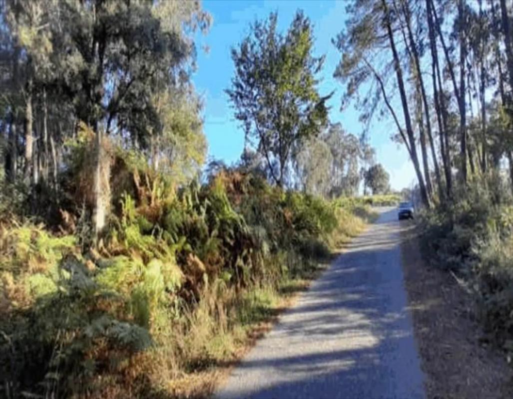Land for sale in Tomiño, Pontevedra photo 1