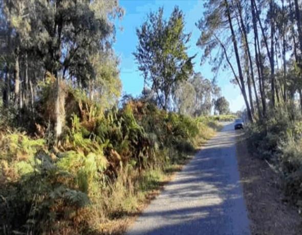 Terreno en Tomiño photo 1