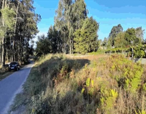 Terreno en Tomiño photo 2