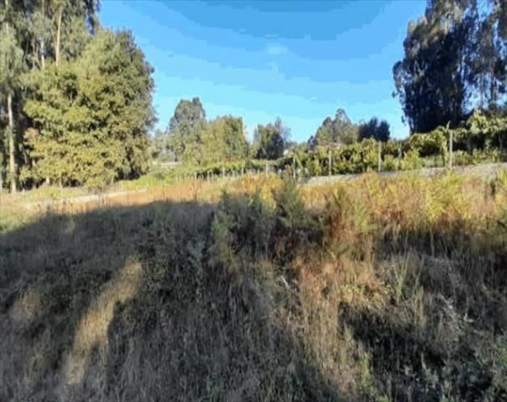 Land for sale in Tomiño, Pontevedra photo 3