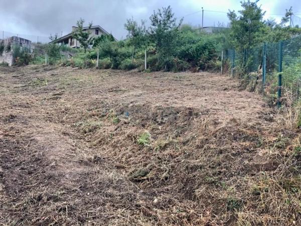 Terreno en Tomiño photo 3