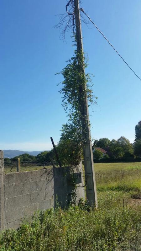 Terreno en venta en Tomiño, Pontevedra photo 5