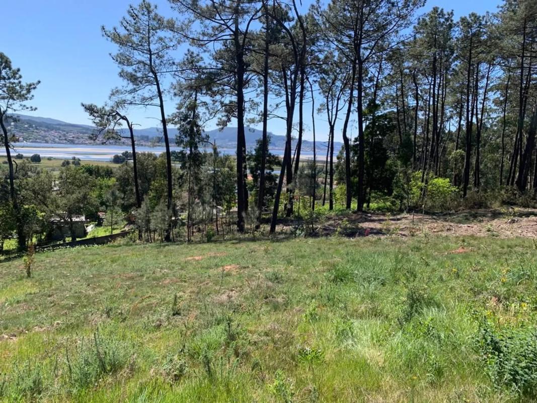 Terreno en venta en O Rosal, Pontevedra photo 5