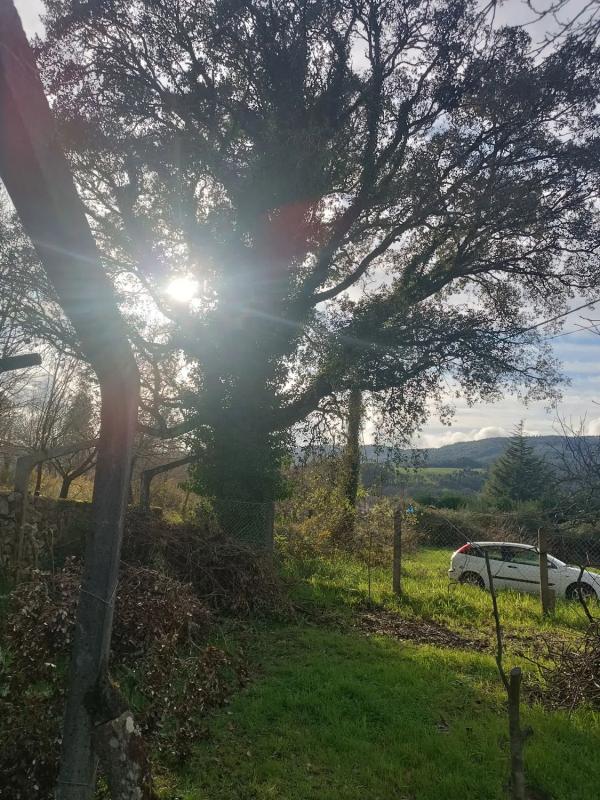 Działka na sprzedaż w Tomiño, Pontevedra photo 4