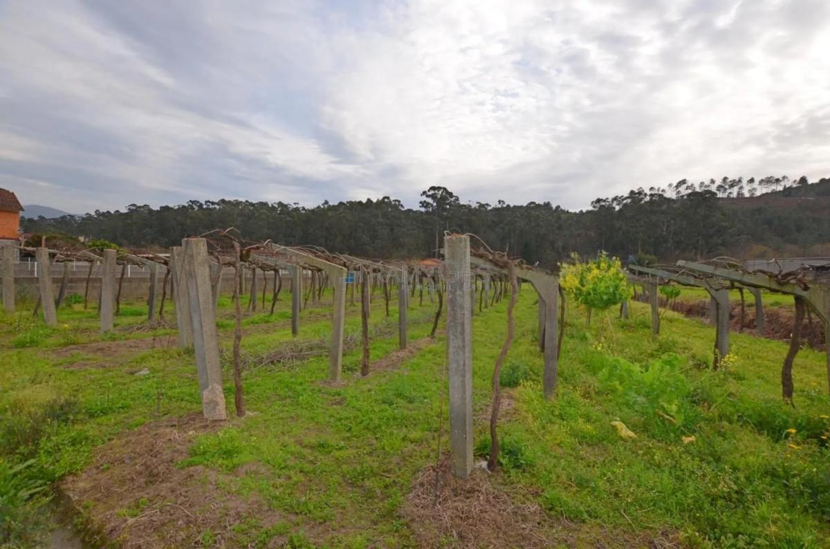 Terreno en venta en Tui, Pontevedra photo 3