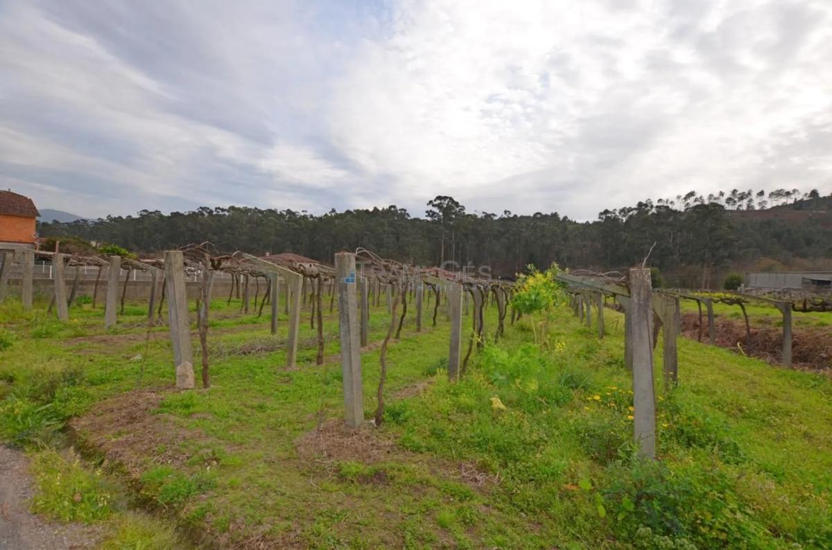 Terreno en venta en Tui, Pontevedra photo 4