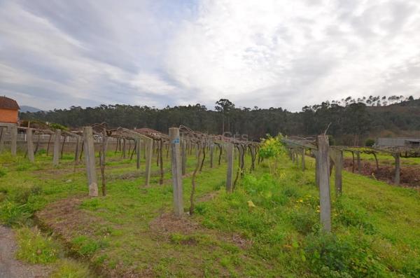 Terreno en Tui photo 4