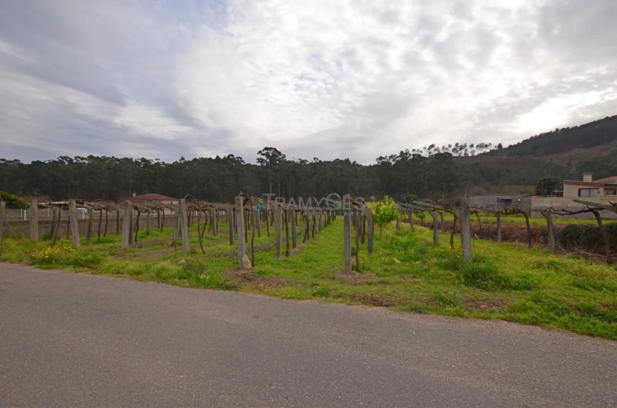 Terreno en venta en Tui, Pontevedra photo 5