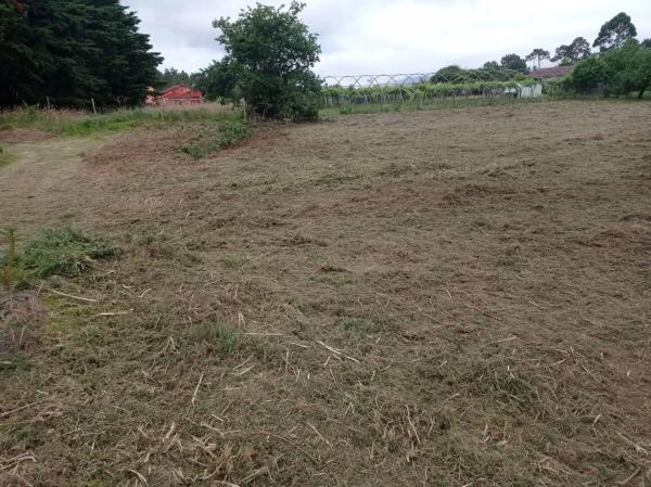 Terreno en Lugar o Ramo s/n photo 1