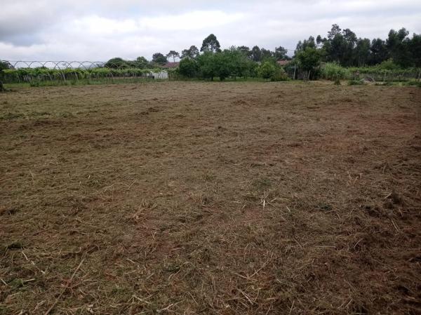Terreno en Lugar o Ramo s/n photo 2