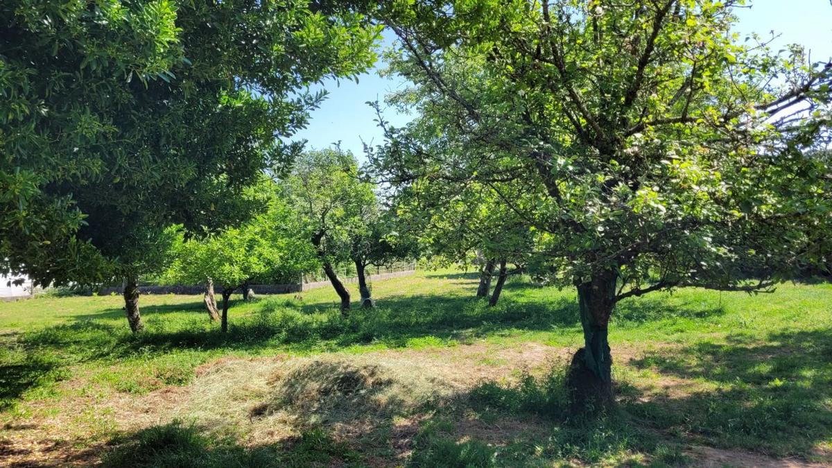 Terreno en venta en O Rosal, Pontevedra photo 2
