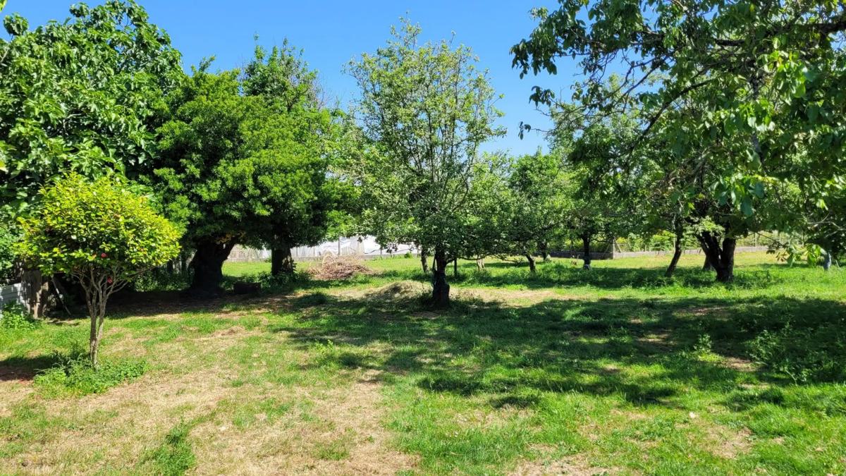 Terreno en venta en O Rosal, Pontevedra photo 4