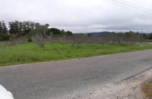 Terreno en camino das Pereiras, 1 photo 1