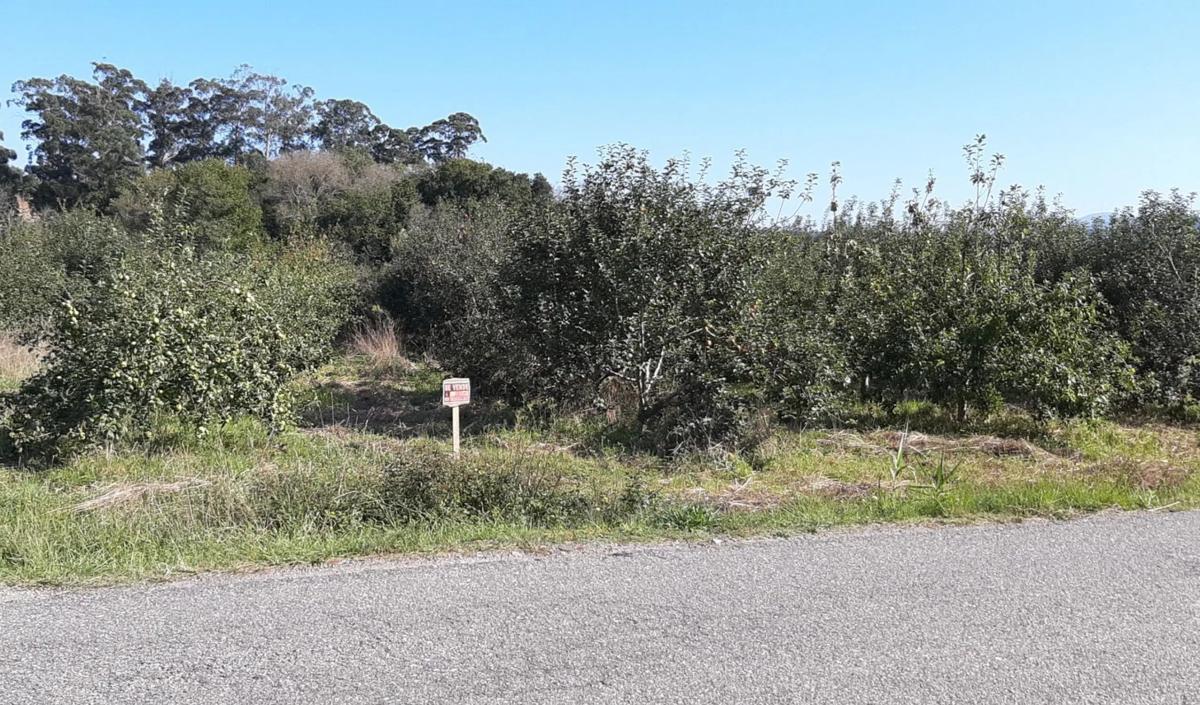 Terreno en venta en O Rosal, Pontevedra photo 3