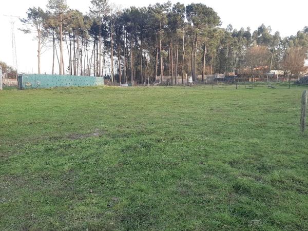 Terreno en lugar Randufe s/n photo 1