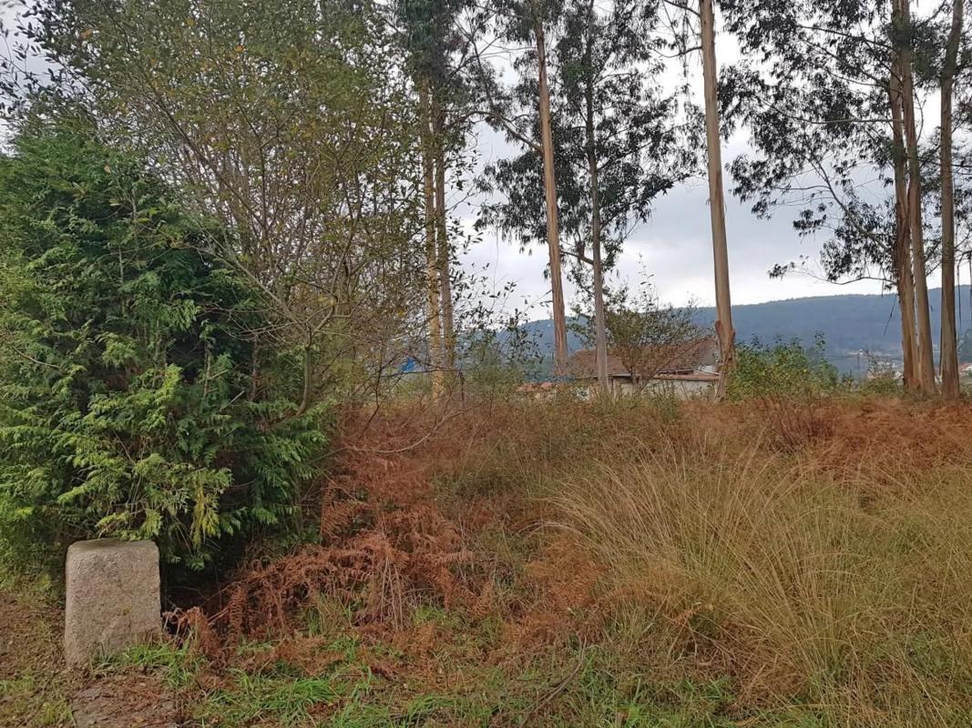 Terreno en venta en Tomiño, Pontevedra photo 4