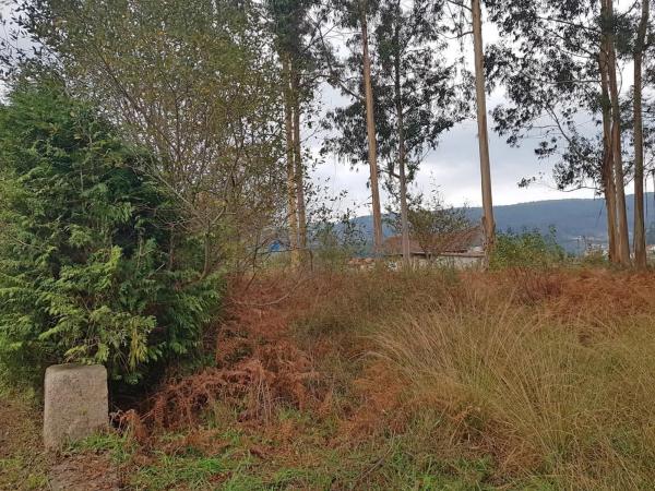 Terreno en Tomiño photo 4