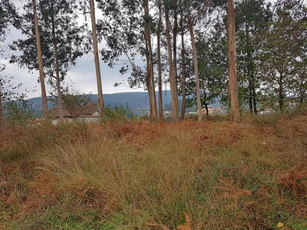 Terreno en venta en Tomiño, Pontevedra photo 5