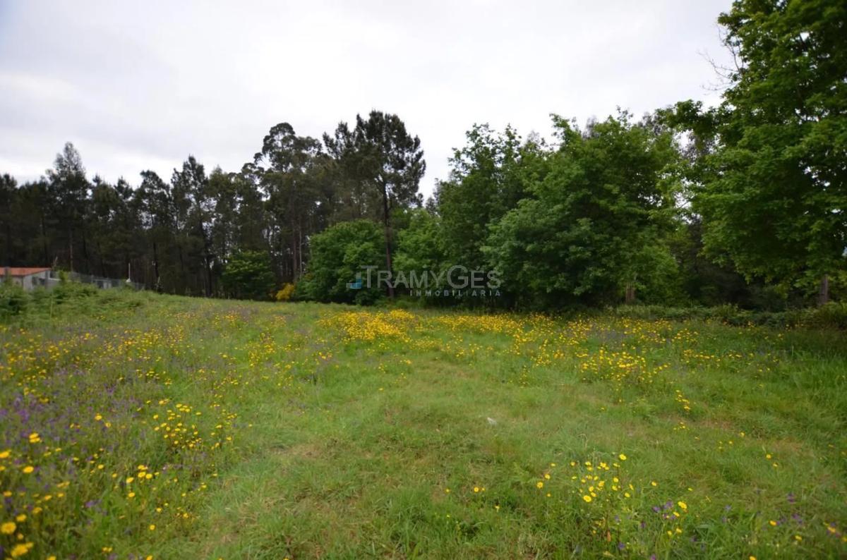 Terreno en venta en Tui, Pontevedra photo 2