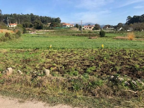 Terreno en Piñeiro s/n photo 2