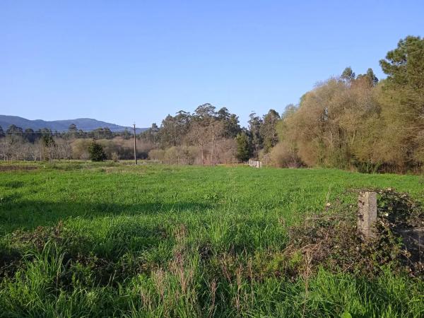 Terreno en calle Regueiriña, 1 thumbnail 2