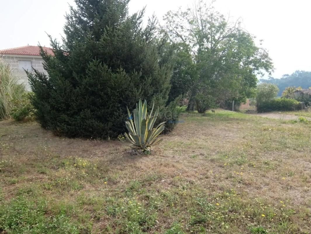 Działka na sprzedaż w Tomiño, Pontevedra photo 3