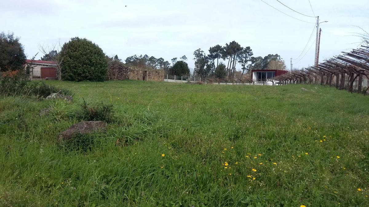 Land for sale in Tomiño, Pontevedra photo 4