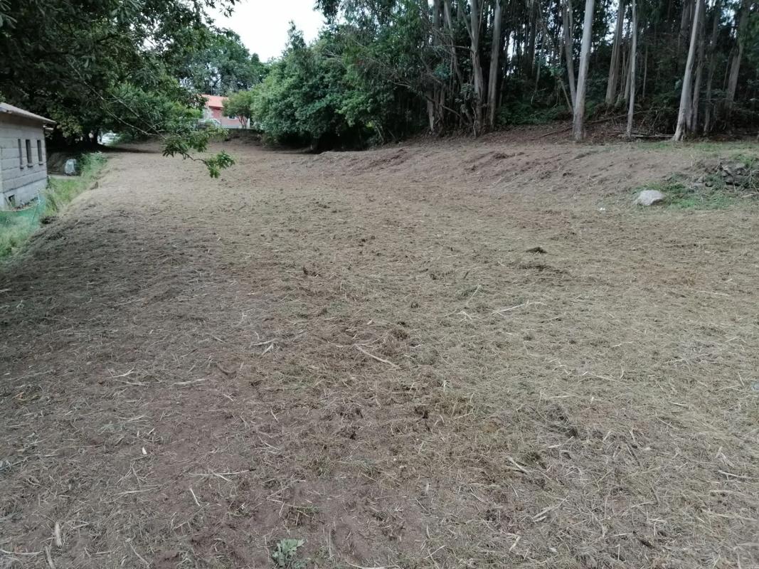 Land for sale in Tomiño, Pontevedra photo 4