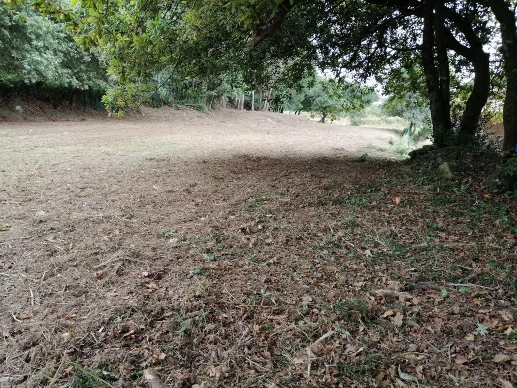 Land for sale in Tomiño, Pontevedra photo 5