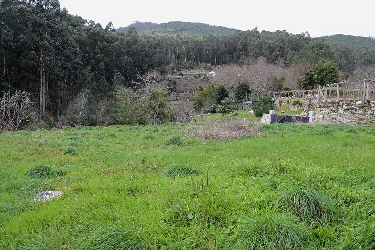 Terreno en venta en O Rosal, Pontevedra photo 2