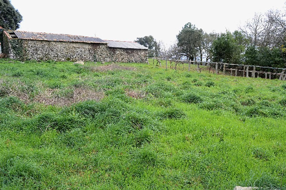 Terreno en venta en O Rosal, Pontevedra photo 3