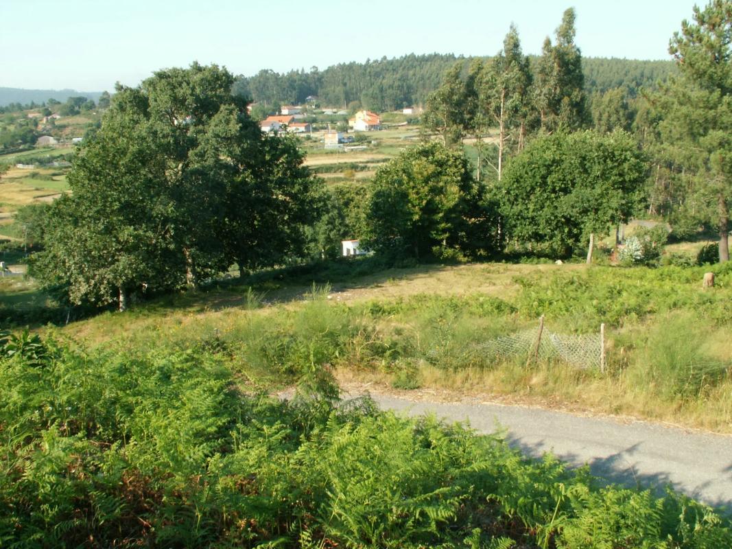 Land for sale in Tomiño, Pontevedra photo 4