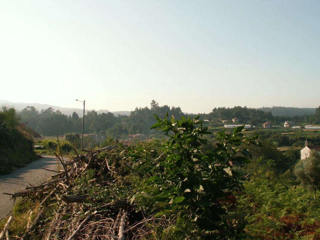 Land for sale in Tomiño, Pontevedra photo 5