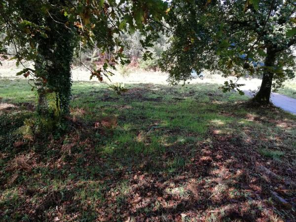 Terreno en Saiar s/n photo 1