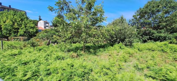 Terreno en calle Cima de Vila, 3 thumbnail 2