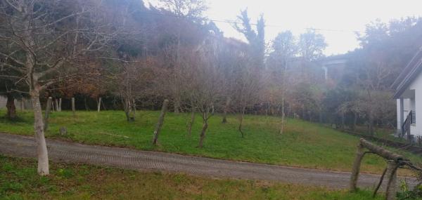 Terreno en calle Jose Salgado, 36 photo 2