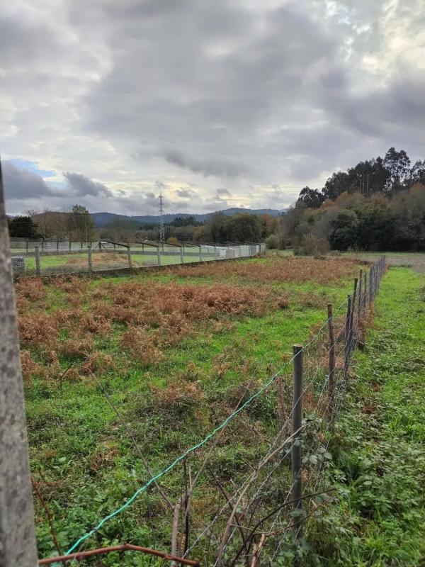 Terreno en venta en Caldas de Reis, Pontevedra photo 3