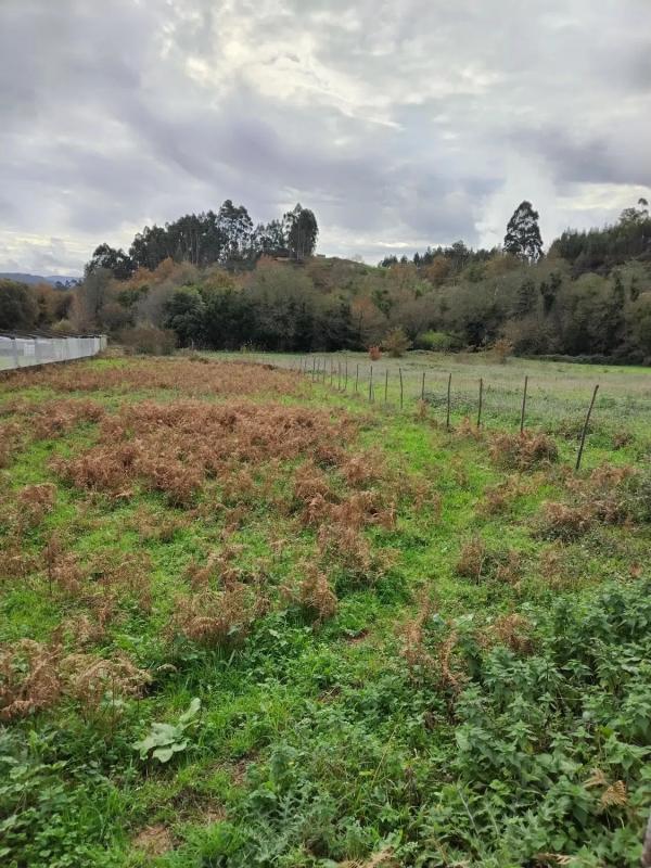 Działka na sprzedaż w Caldas de Reis, Pontevedra photo 4