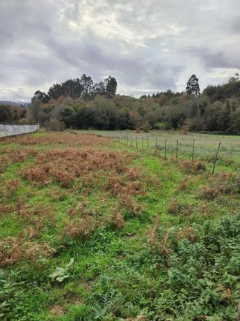 Terreno en Sequeiros, 521 photo 4