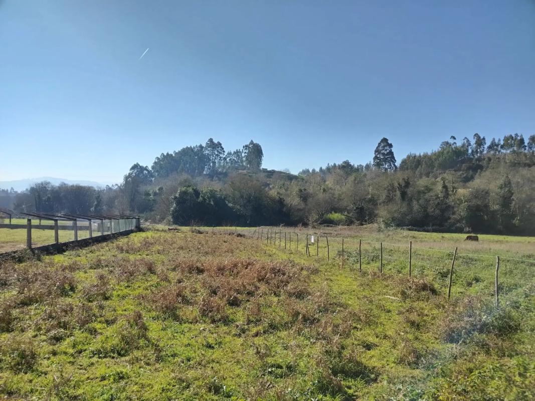 Działka na sprzedaż w Caldas de Reis, Pontevedra photo 5