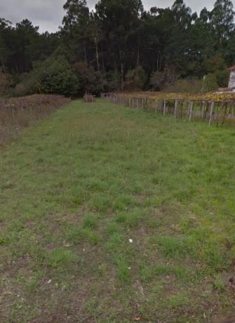 Terreno en pazo s/n photo 2