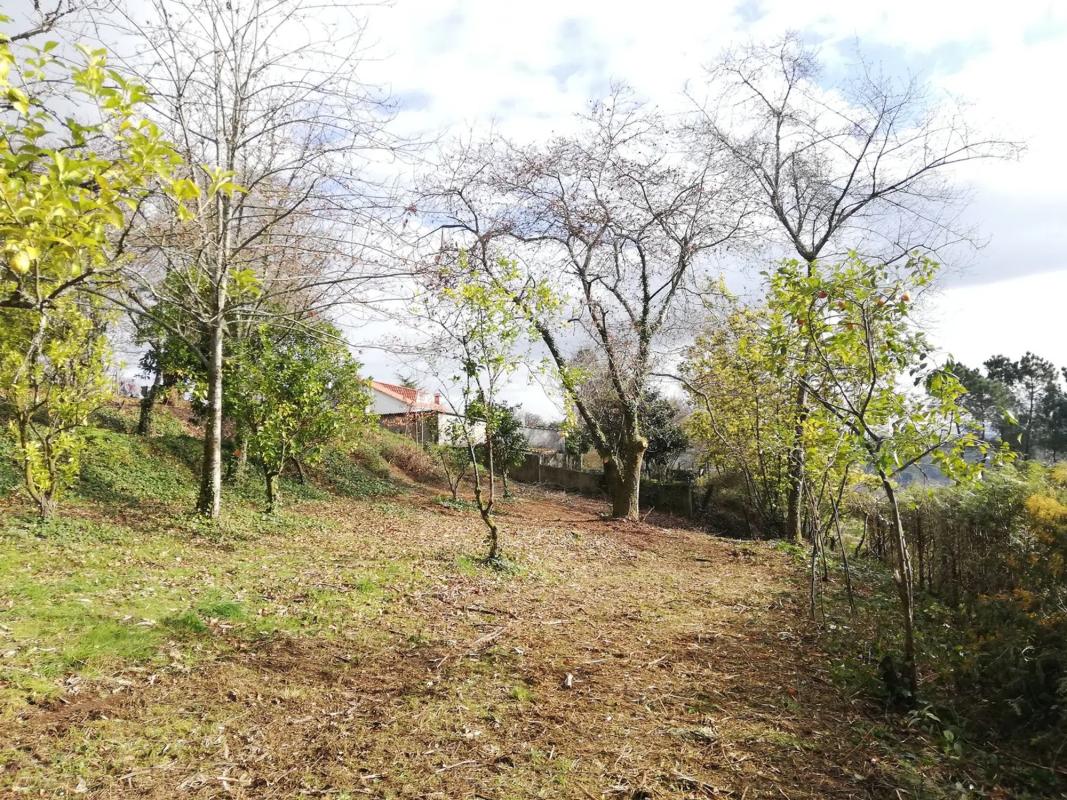 Участок земли на продажу в Калдас-де-Рейс, Пontevedra photo 3