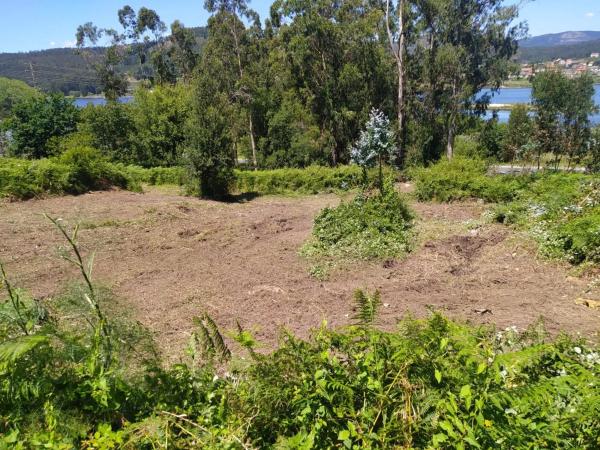 Terreno en avenida Muiños de Vento s/n photo 2
