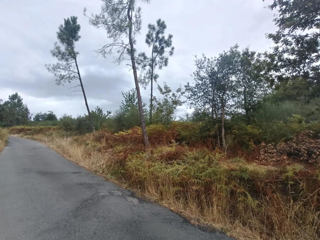 Terreno en venta en Salvaterra de Miño, Pontevedra photo 1