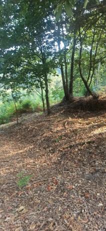 Terreno en Lugar de Valeixe, 141 Polgono photo 3