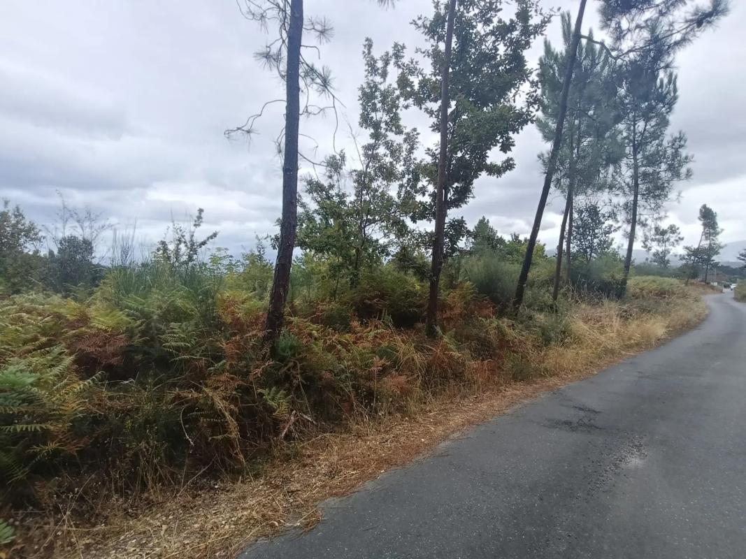 Terreno en venta en Salvaterra de Miño, Pontevedra photo 5