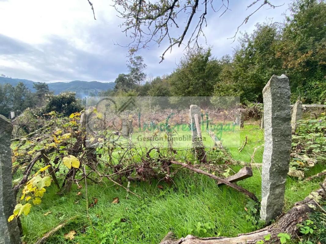 Land for sale in Ponteareas, Pontevedra photo 3